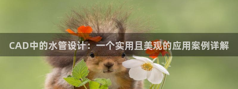 富邦娱乐app的三个版本