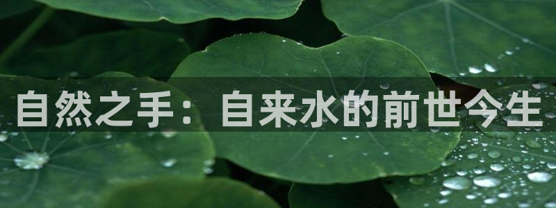 富邦娱乐场线路