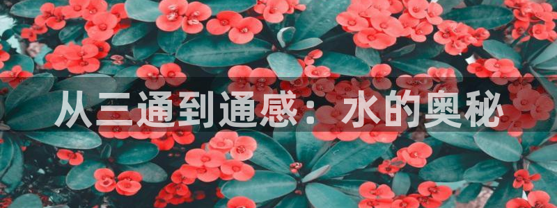 富邦娱乐平台 全礴网