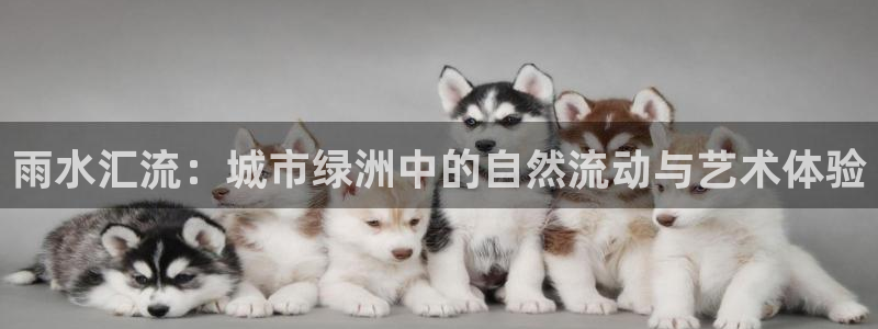 富邦娱乐app的三个版本