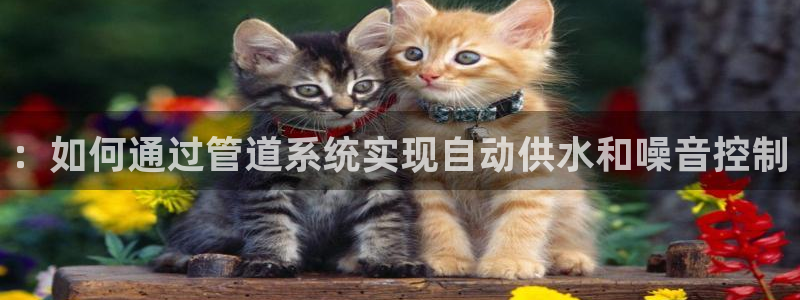 杭州富邦娱乐在营业吗