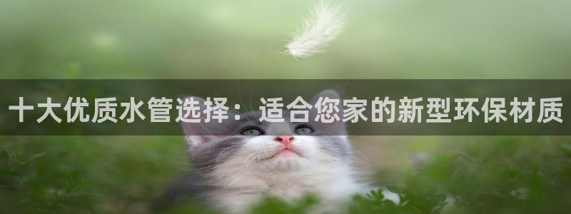 富邦娱乐登入上银狐网