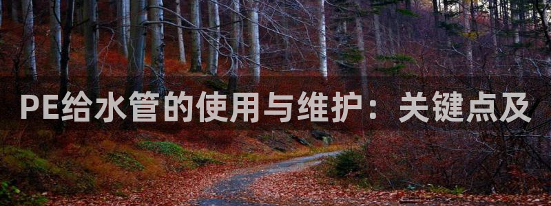 富邦娱乐代理注册