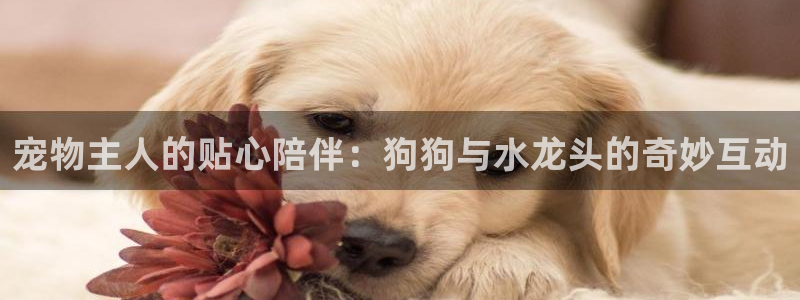 富邦娱乐注册 全礴网