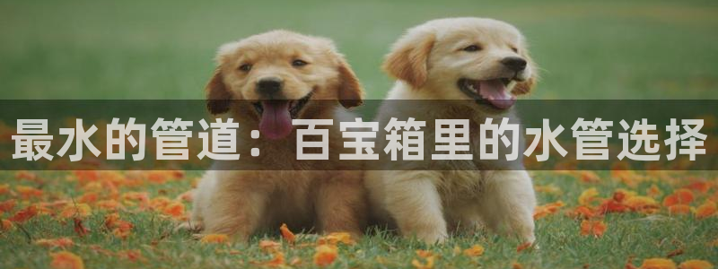 富邦娱乐彩票最新地址