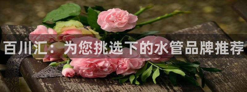 富邦娱乐官网 全礴网