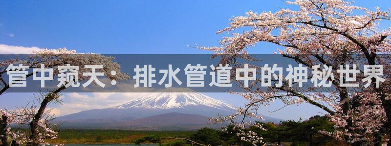 富邦娱乐网址是