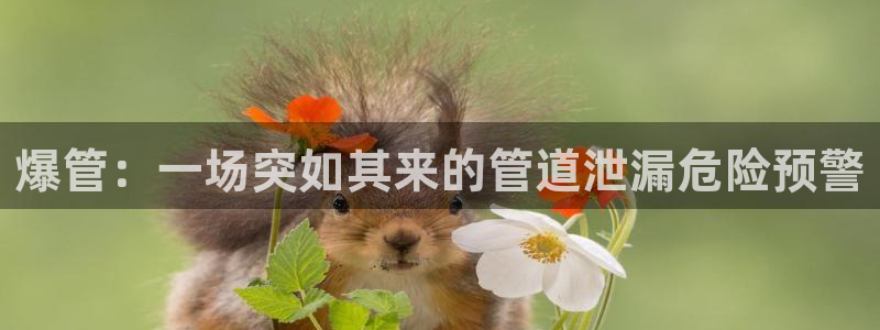 富邦娱乐大厅优惠活动